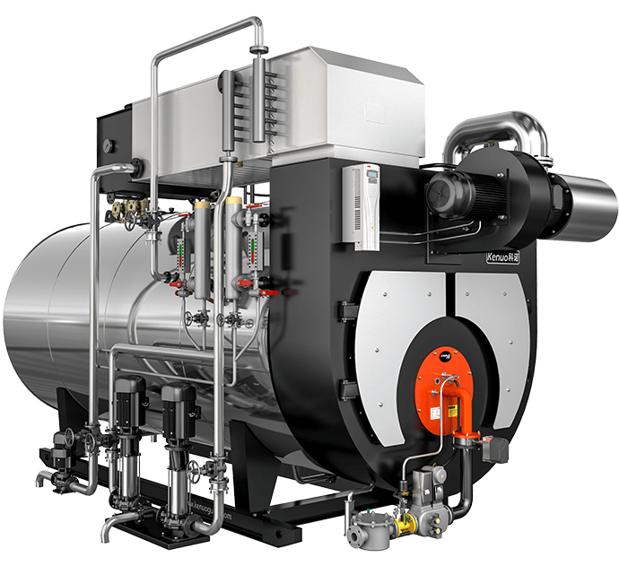 Package Gas Diesel Fired Steam Boiler for Food Factory