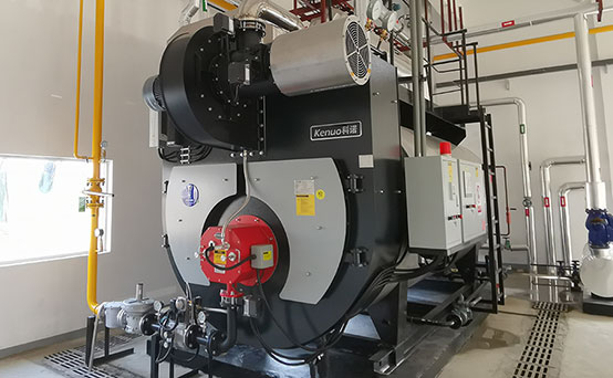 Kenuo 4 ton Gas Fired Steam Boiler for Pharmaceutical Industry