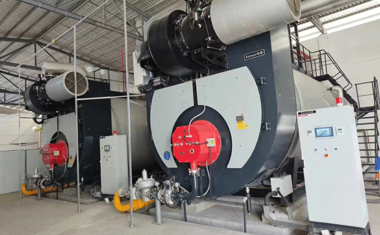 2 sets 20 ton Per Hour Gas Fired Steam Boiler for Winery