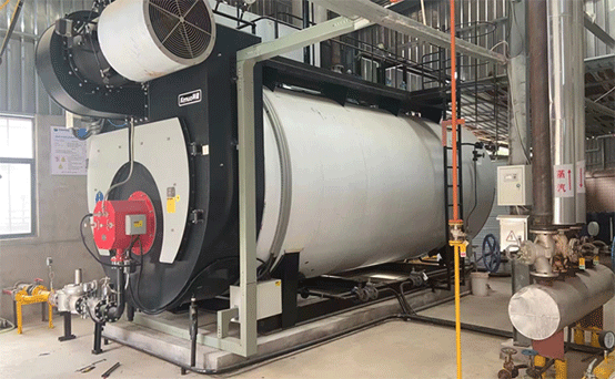 2 sets 20 ton Per Hour Gas Fired Steam Boiler for Winery