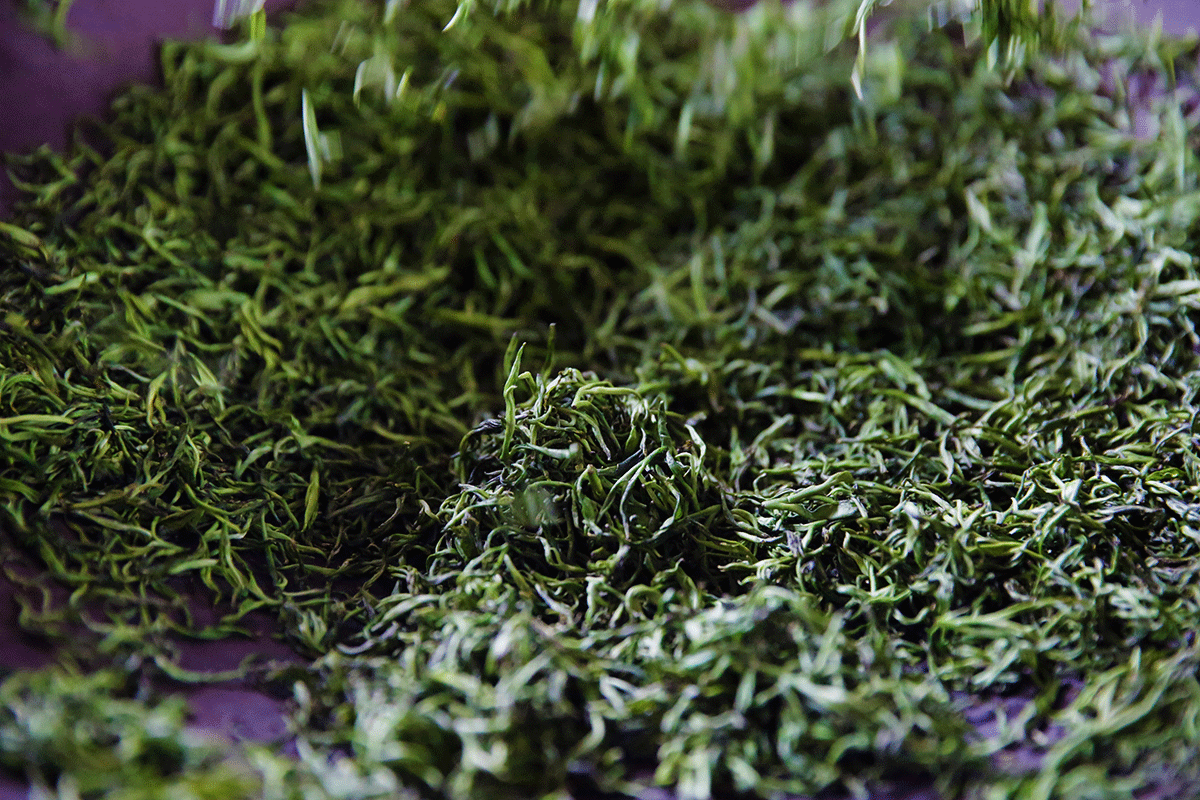 tea-drying