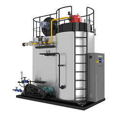 Packaged Vertical Gas Oil Fired Steam Boiler