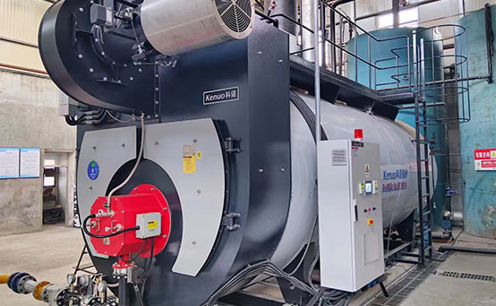 Kenuo 8 ton Natural Gas Fired Steam Boiler for Paper Mill